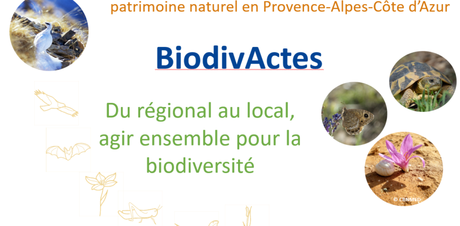 Accompagnement en médiation environnementale de BiodivActes, démarche régionale de préservation du patrimoine naturel en Provence-Alpes-Côte d’Azur