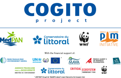 Formation sur la gouvernance et sensibilisation à la production d’intelligence collective dans le cadre du projet Cogito