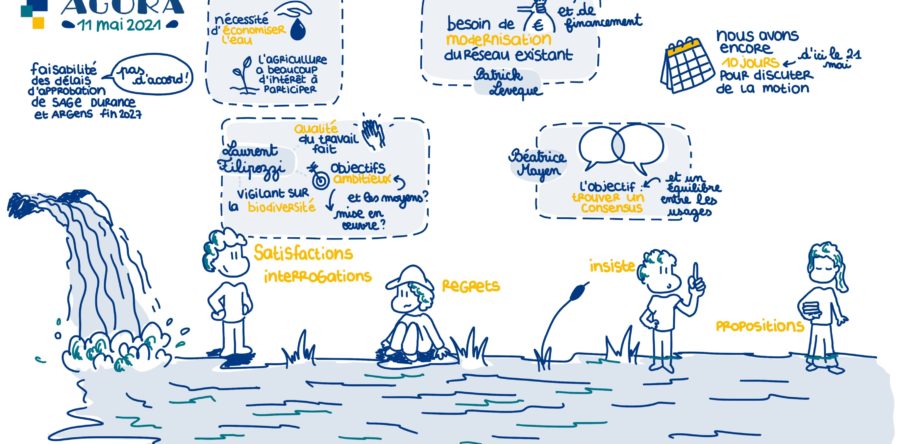 Organisation, facilitation et animation d’une réunion plénière en visioconférence de l’AGORA